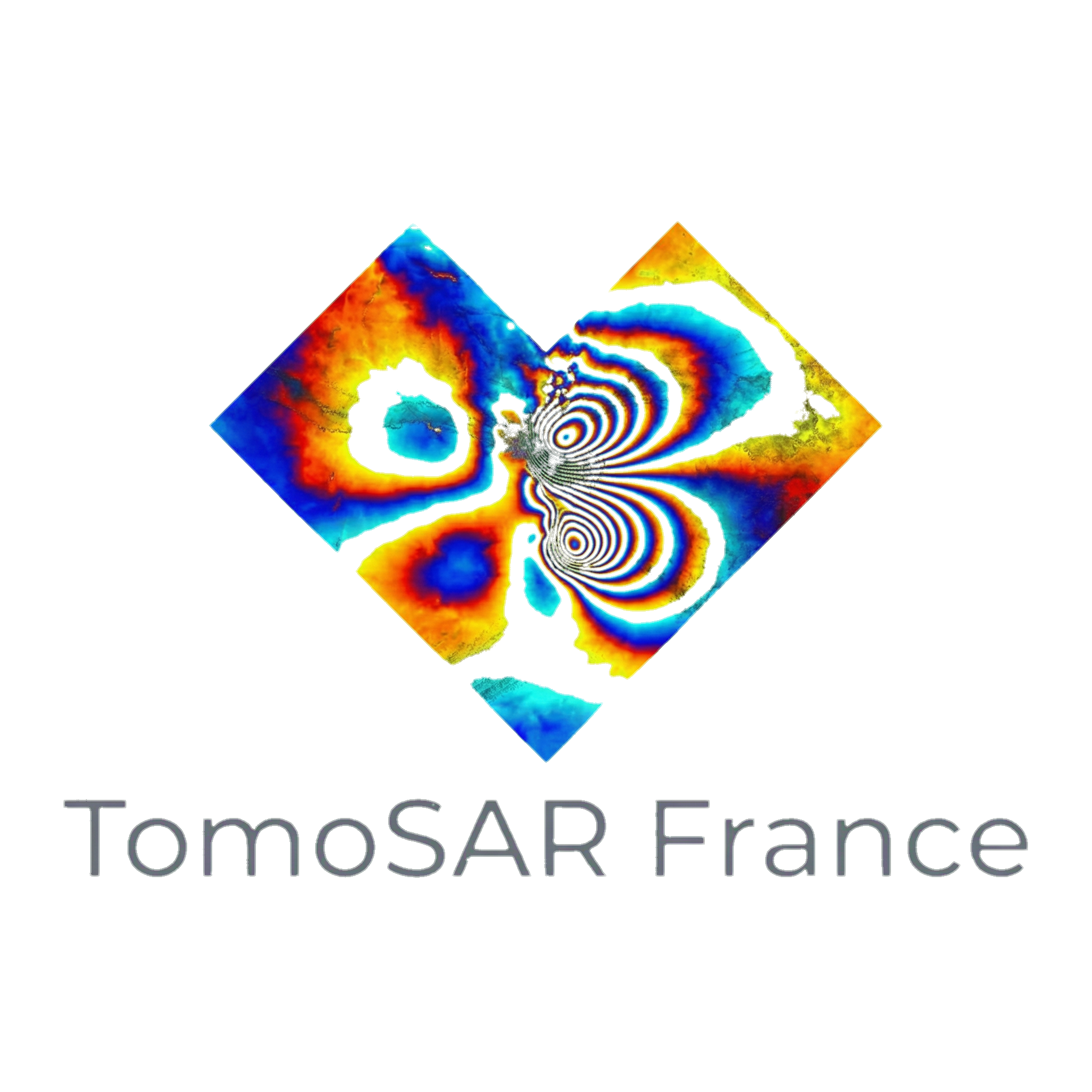 Logo officiel TomoSAR France